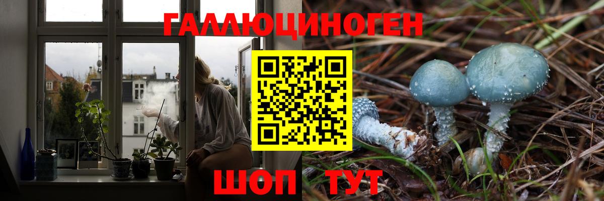 Псилоцибиновые грибы прущие грибы  Галлюциногенные грибы MAGIC MUSHROOMS  Железногорск  что такое   Вход с VPN 